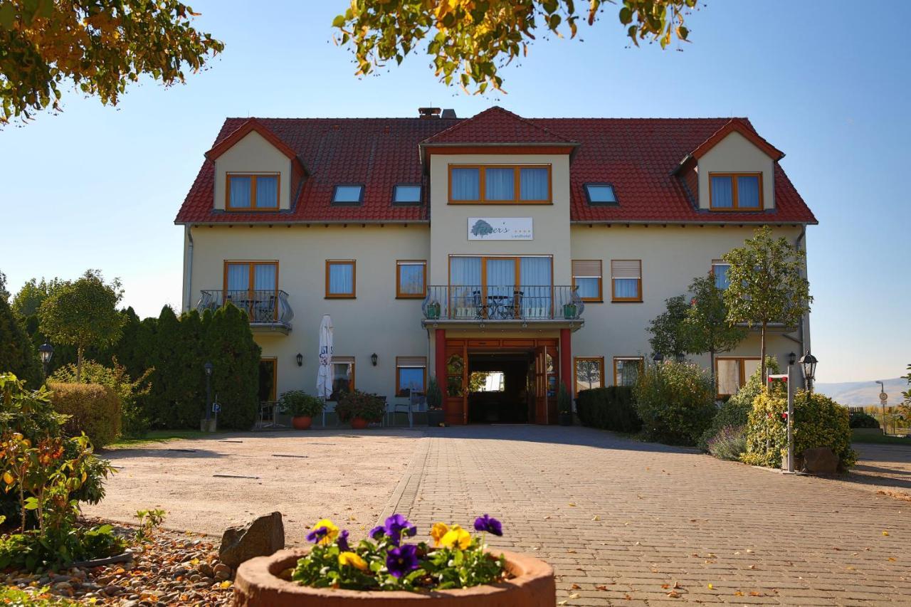 Fetzers Landhotel Ingelheim am Rhein Luaran gambar